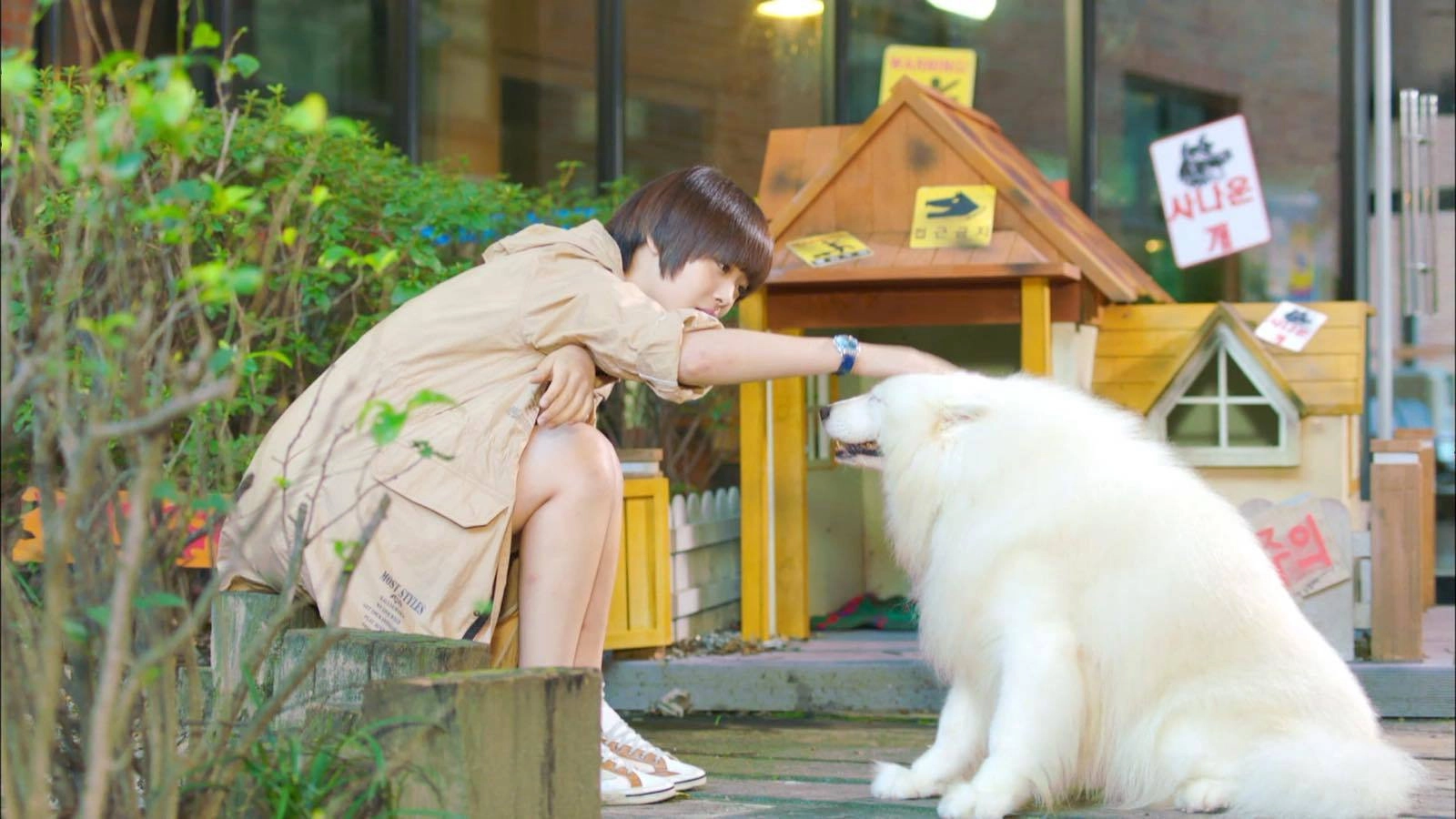To the Beautiful You