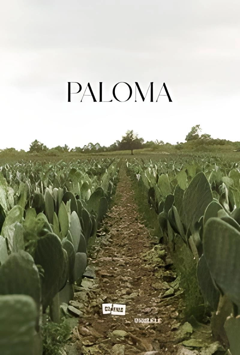 Paloma