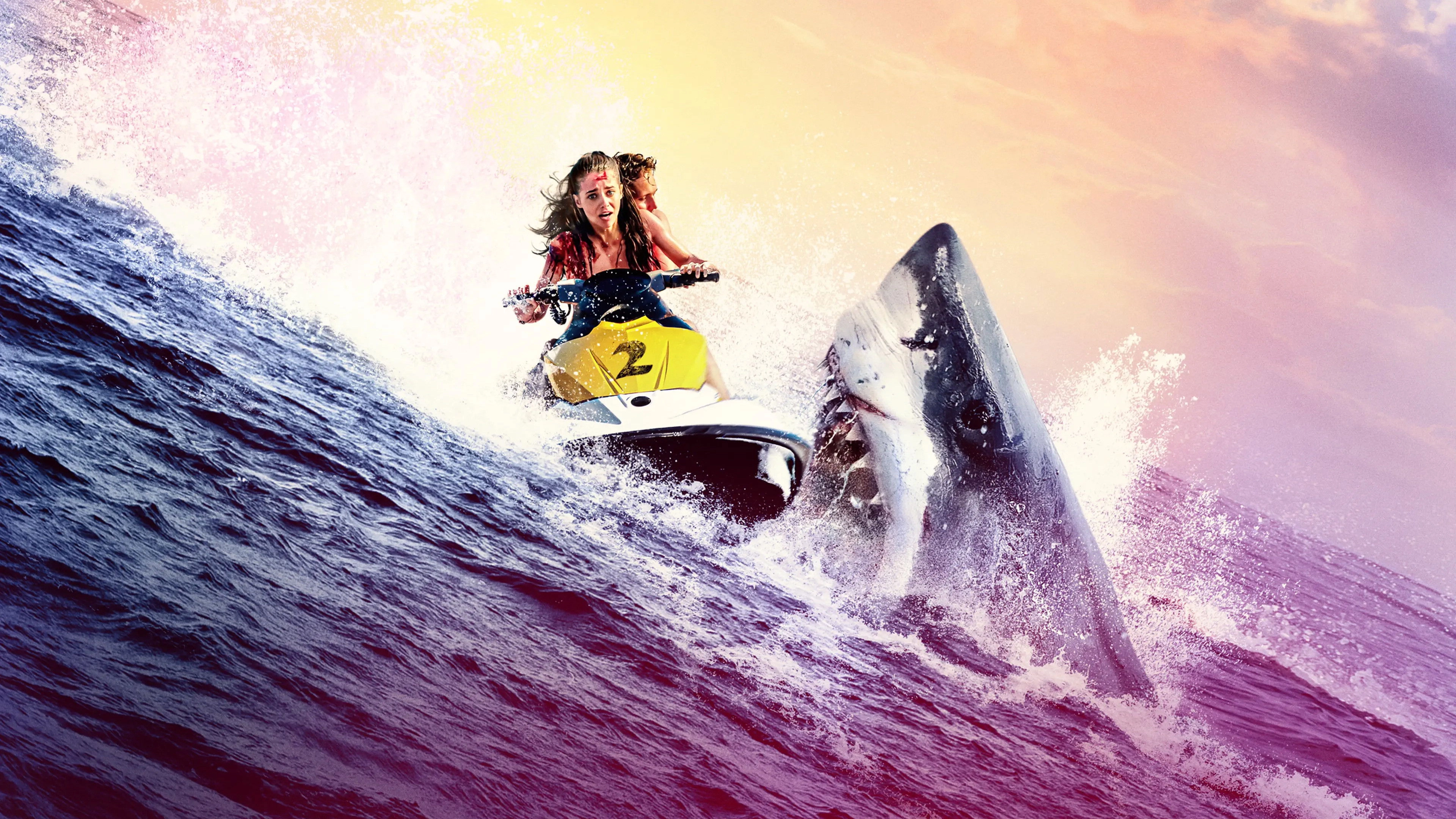 Shark Bait