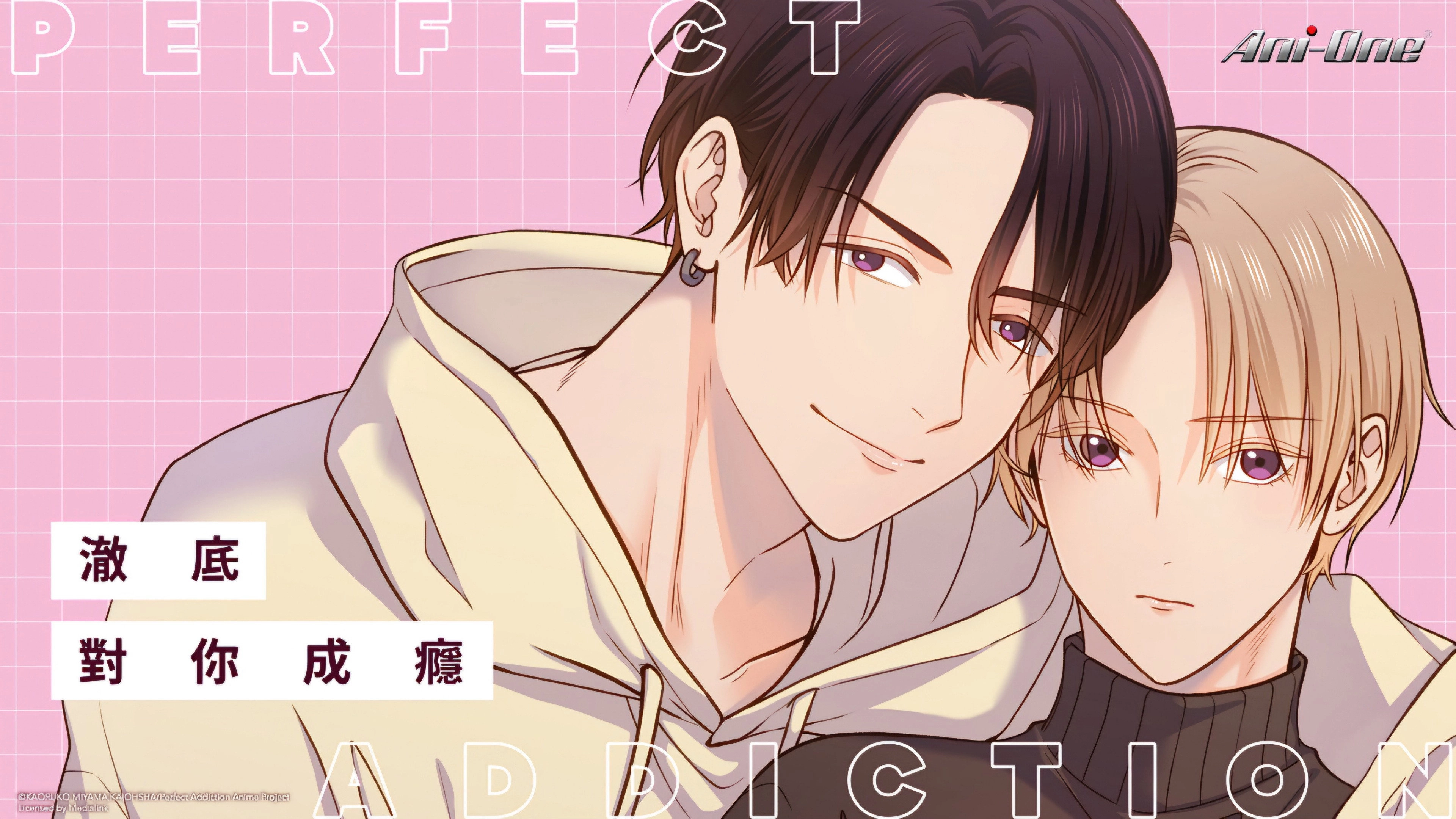 Perfect Addiction