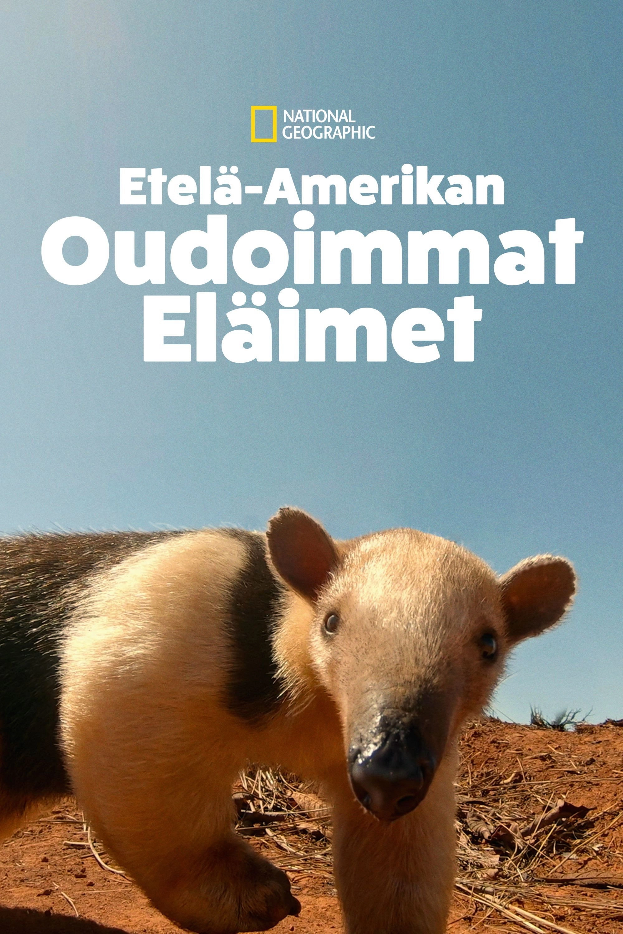 South America's Weirdest Animals