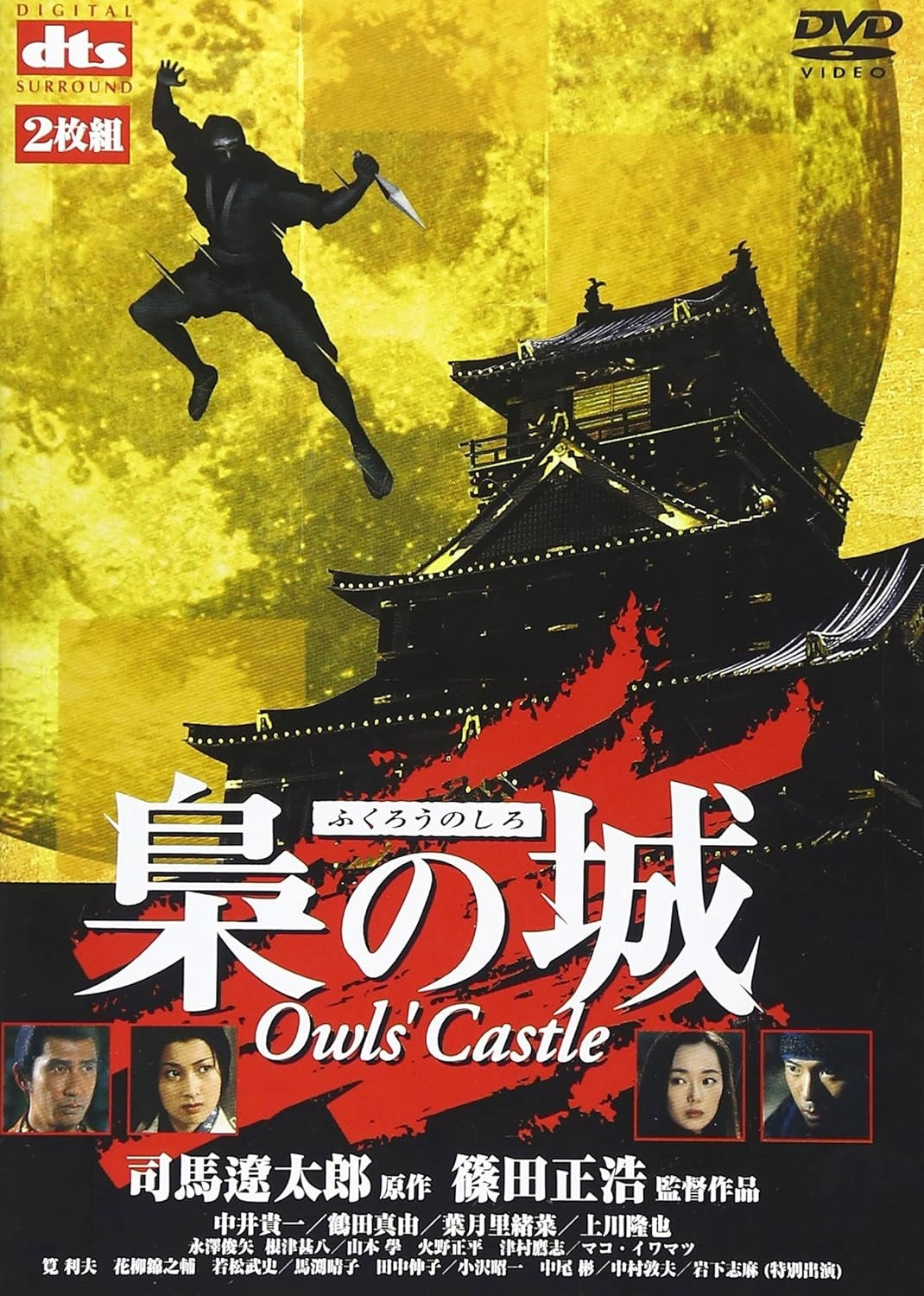 Owls' Castle