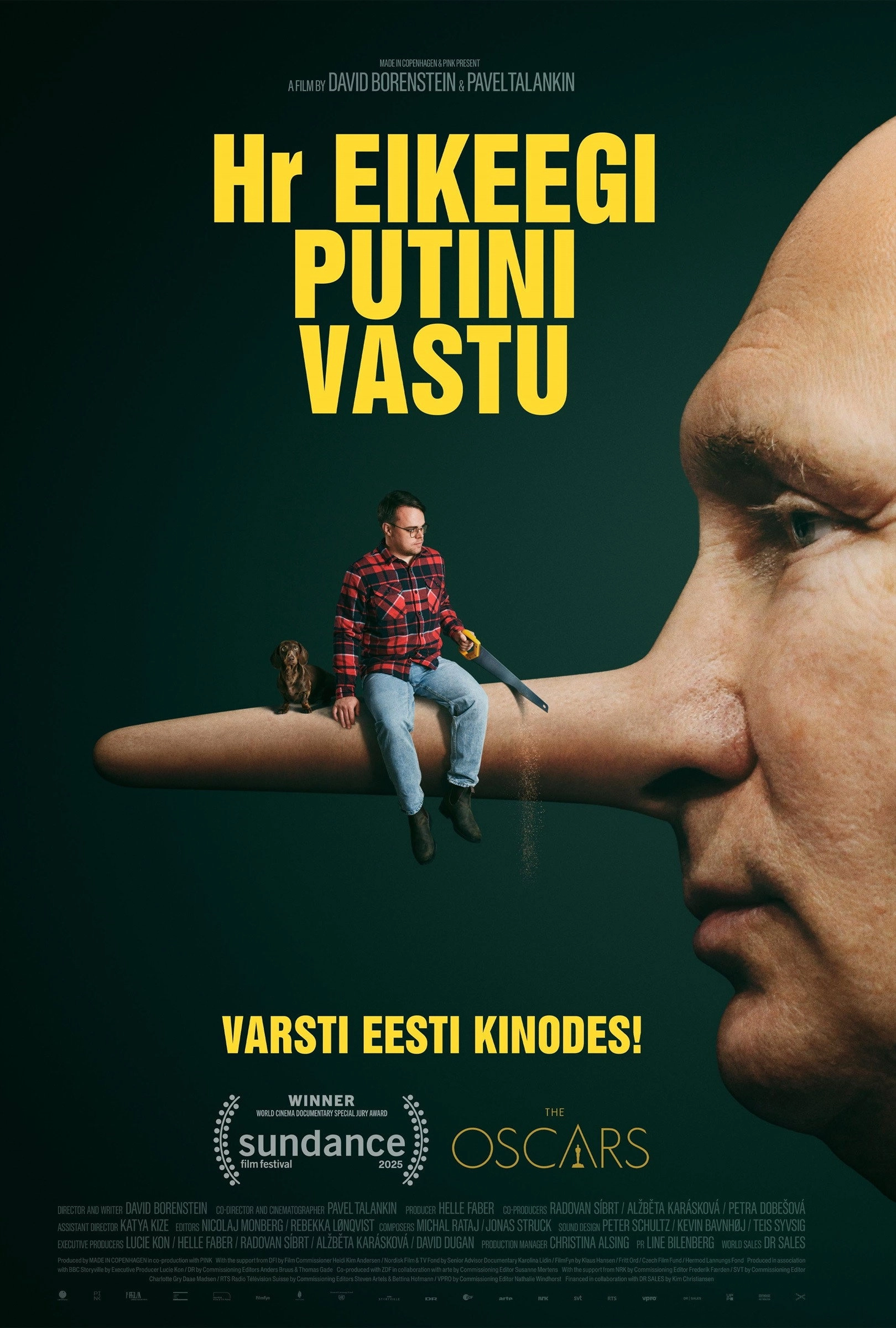 Mr. Nobody Against Putin