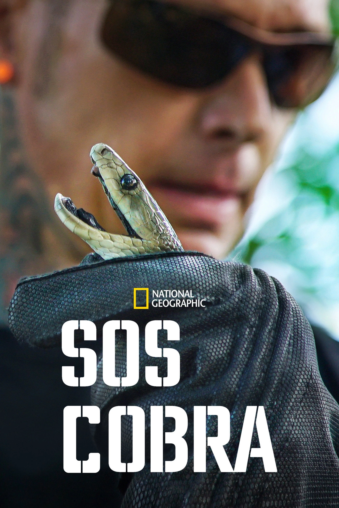 Snake City