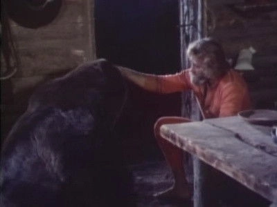 Grizzly Adams