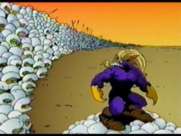 The Maxx
