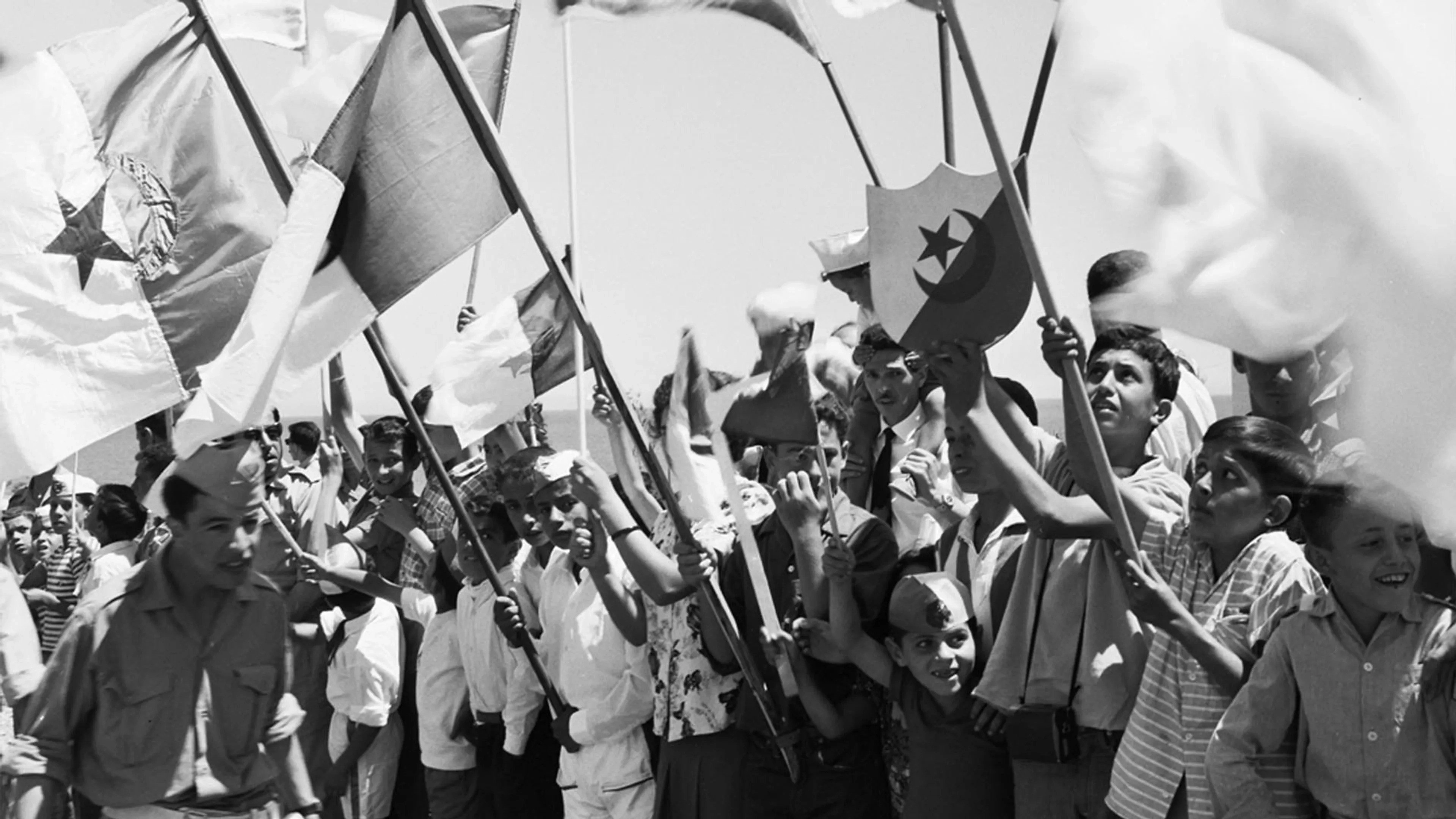 At War for Algeria