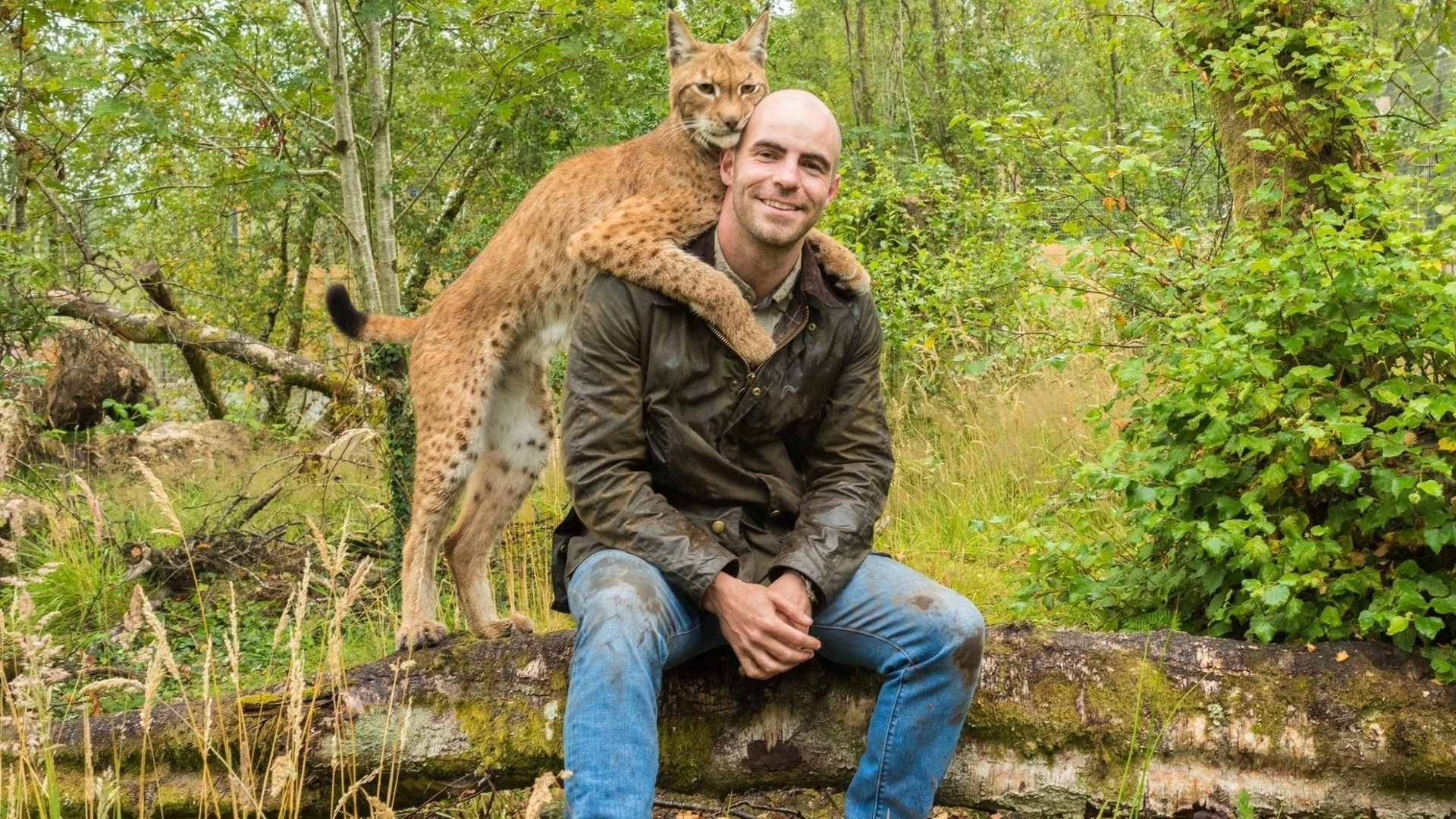 Return of the Wild: The Bearman of Buncrana