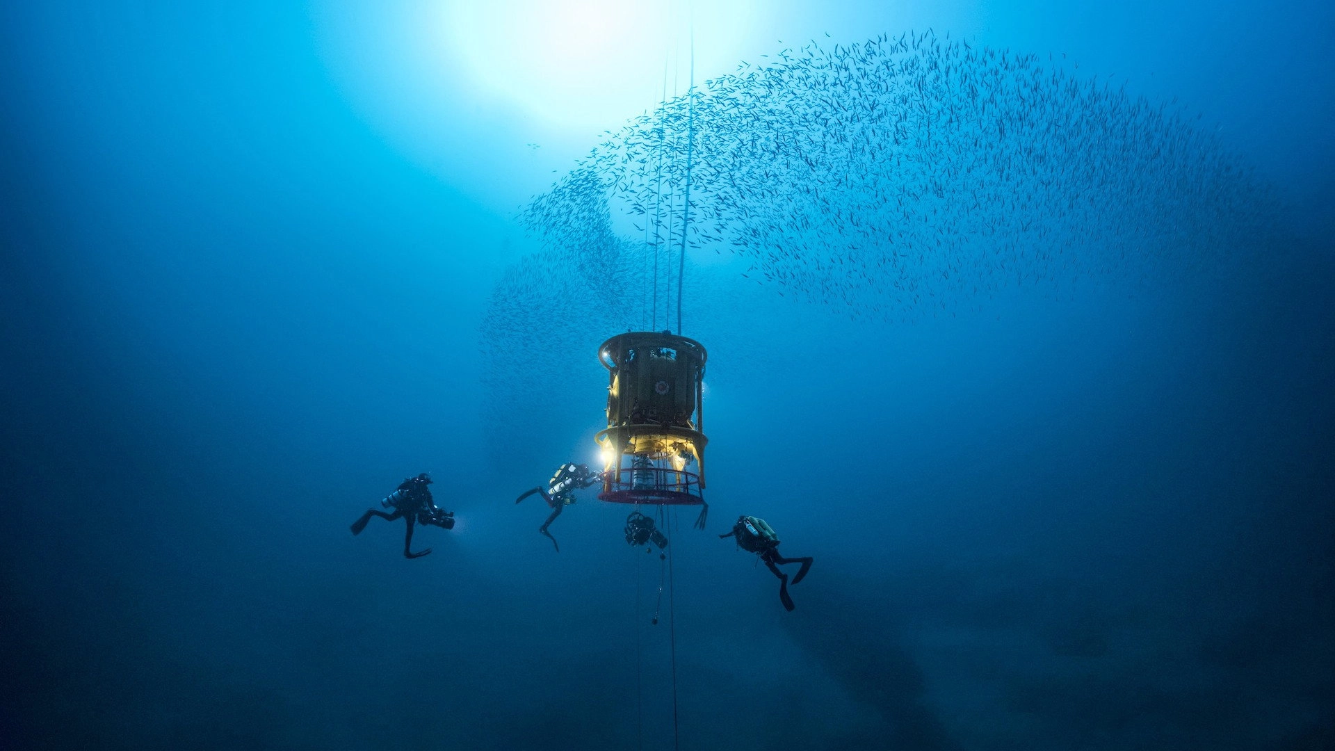 The Deep Med