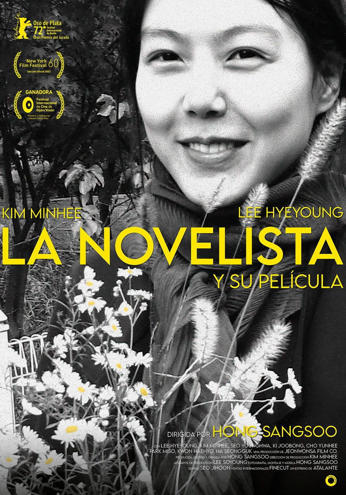 The Novelist's Film