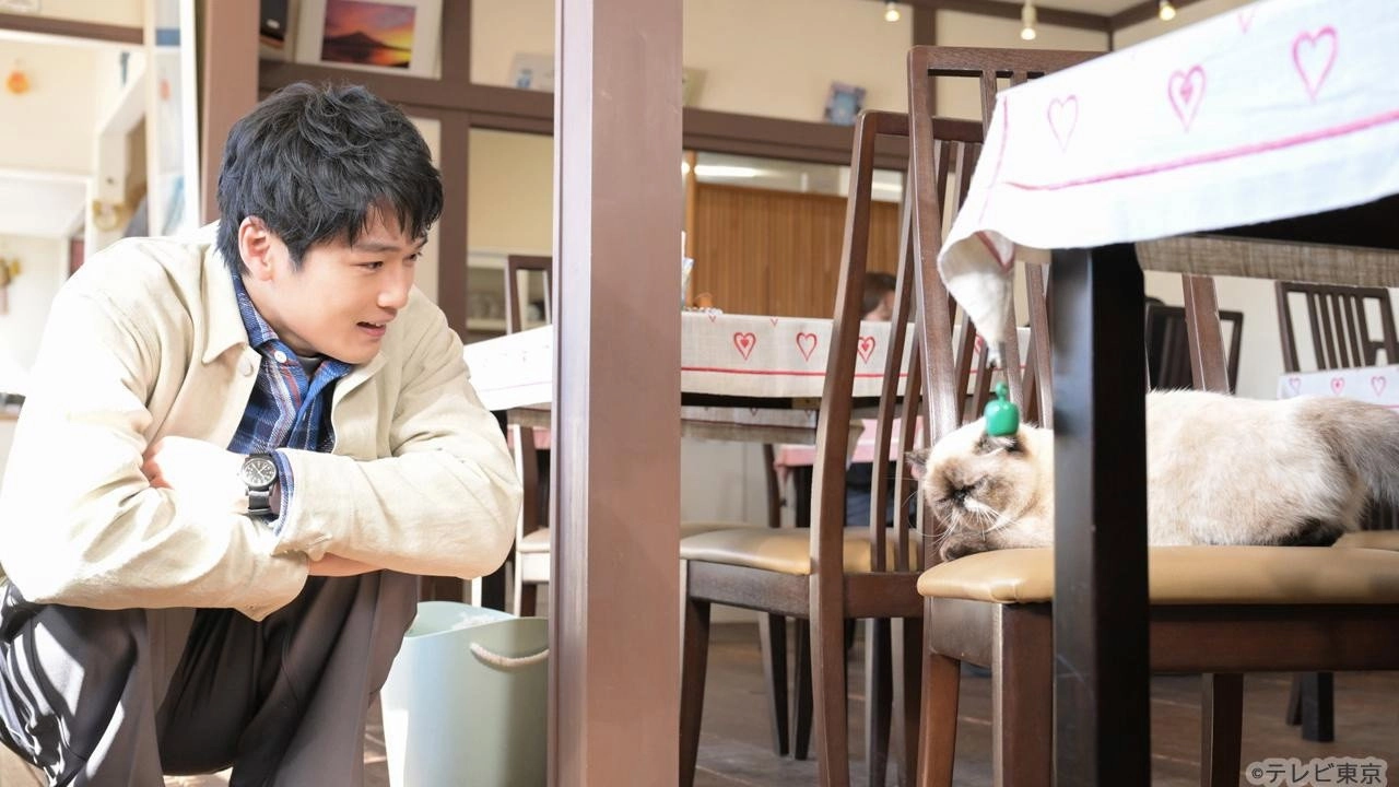 Tabi to Boku to Neko