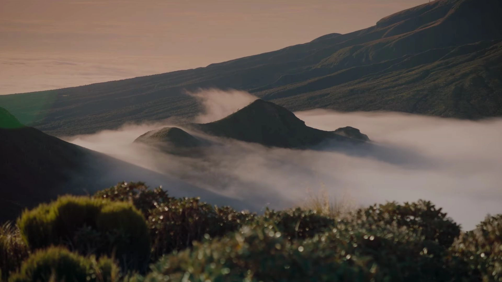 The Mountain