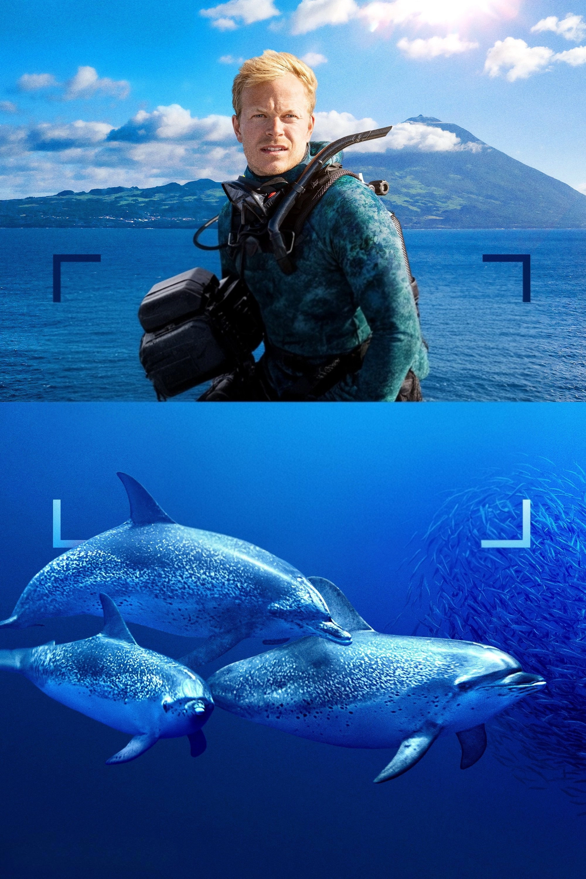 Dolphins Up Close with Bertie Gregory