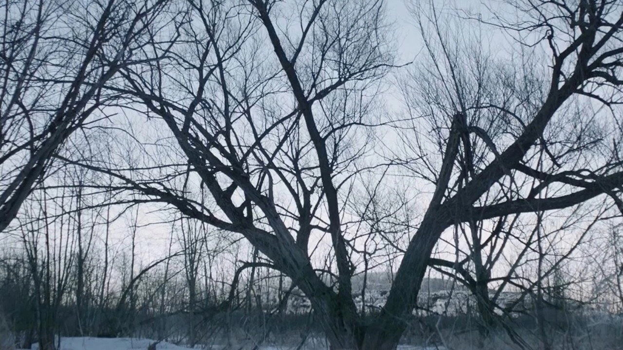 Witches in the Woods