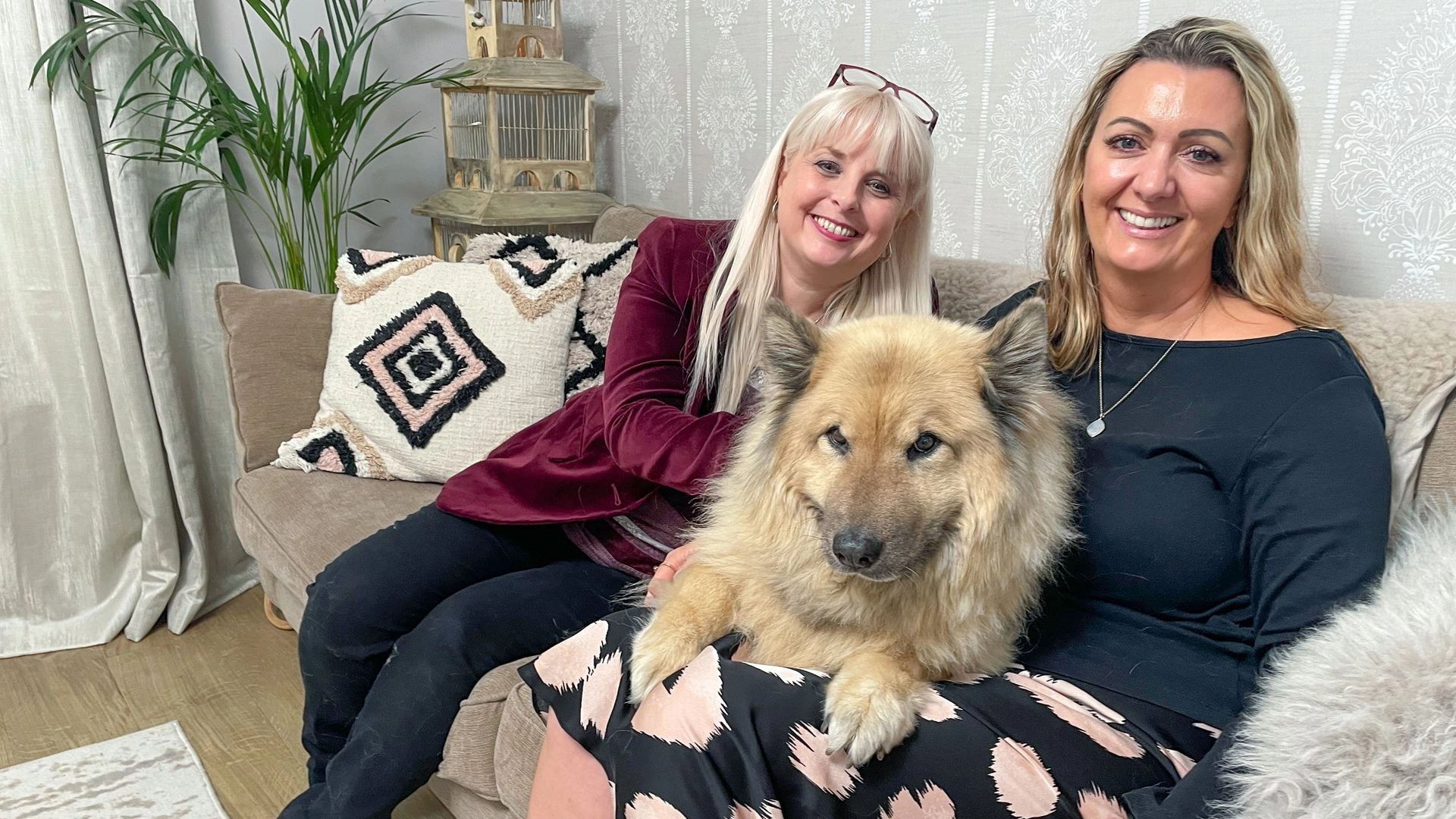 The Pet Psychic