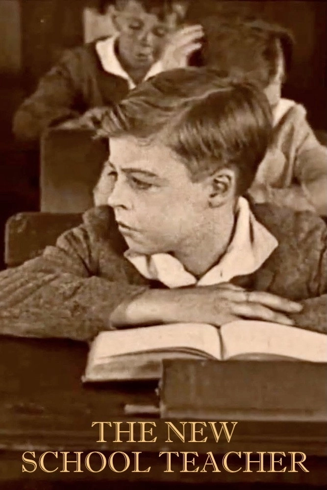 The New School Teacher