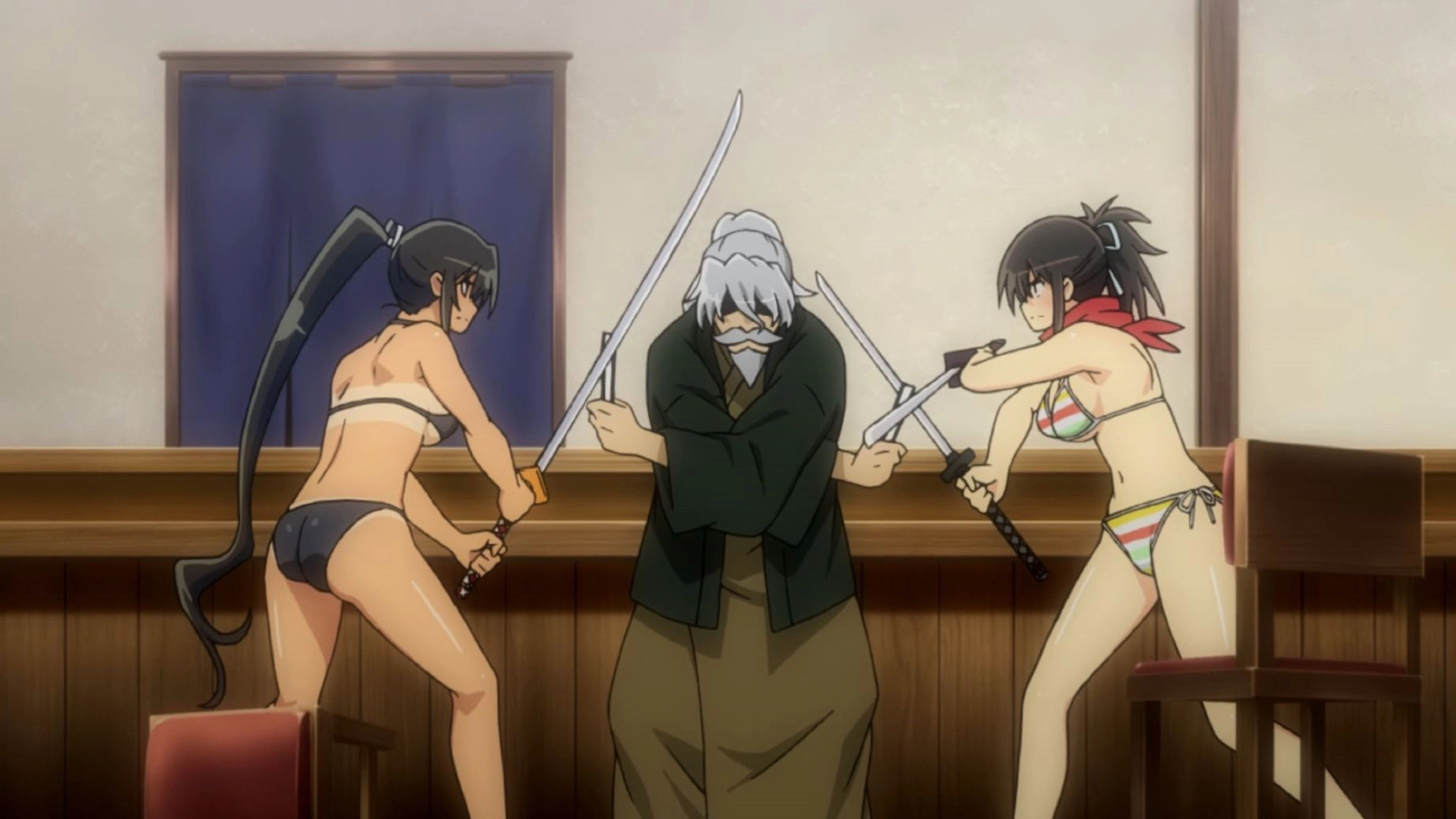 Senran Kagura: Ninja Flash