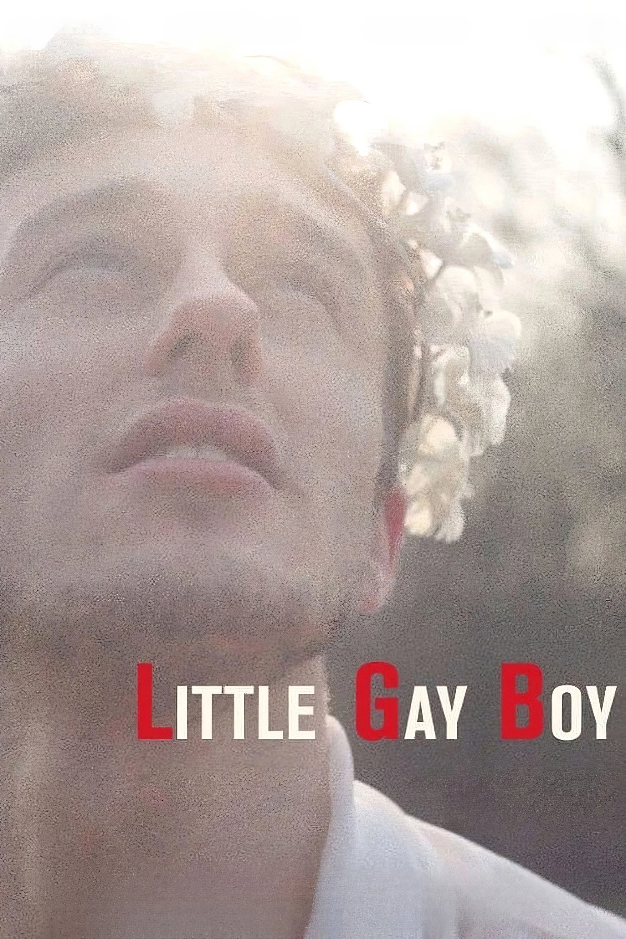 Little Gay Boy