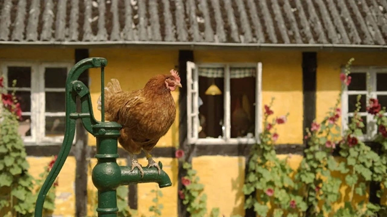 Holy Hen