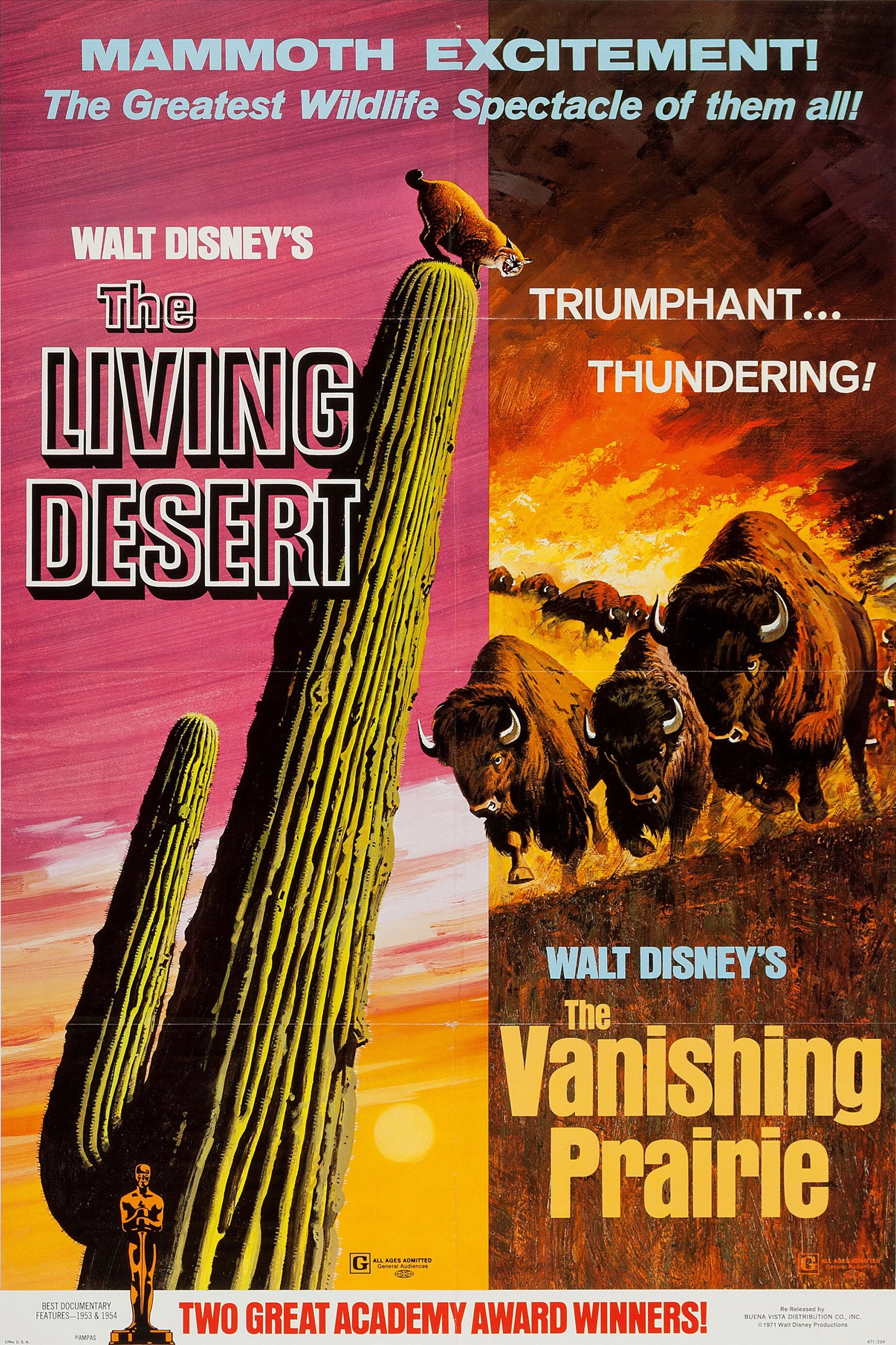 The Vanishing Prairie