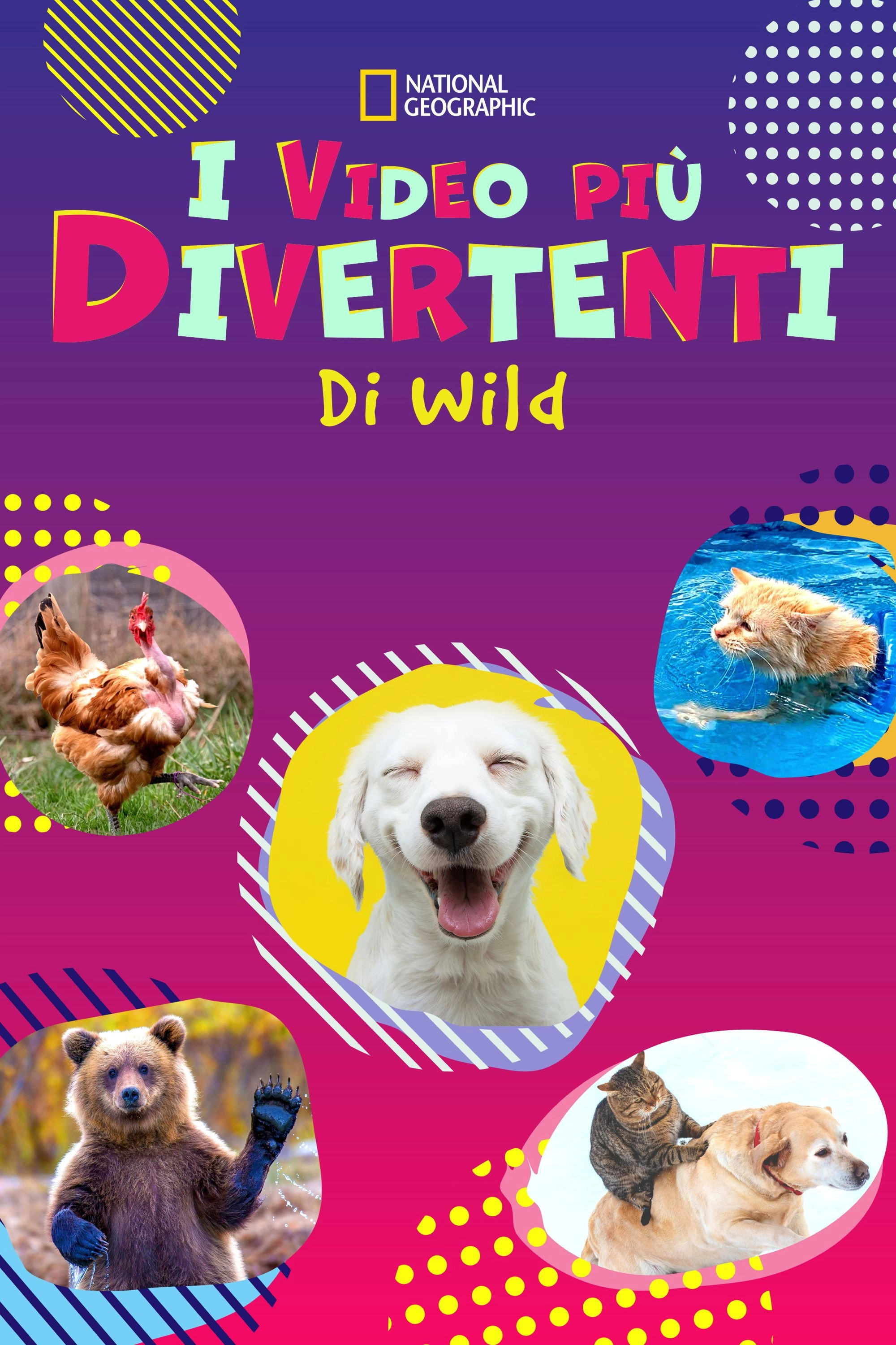 America's Funniest Home Videos: Animal Edition