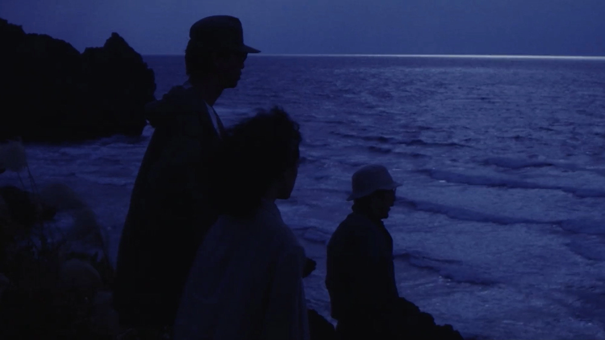 The Miracle of Joe, the Petrel