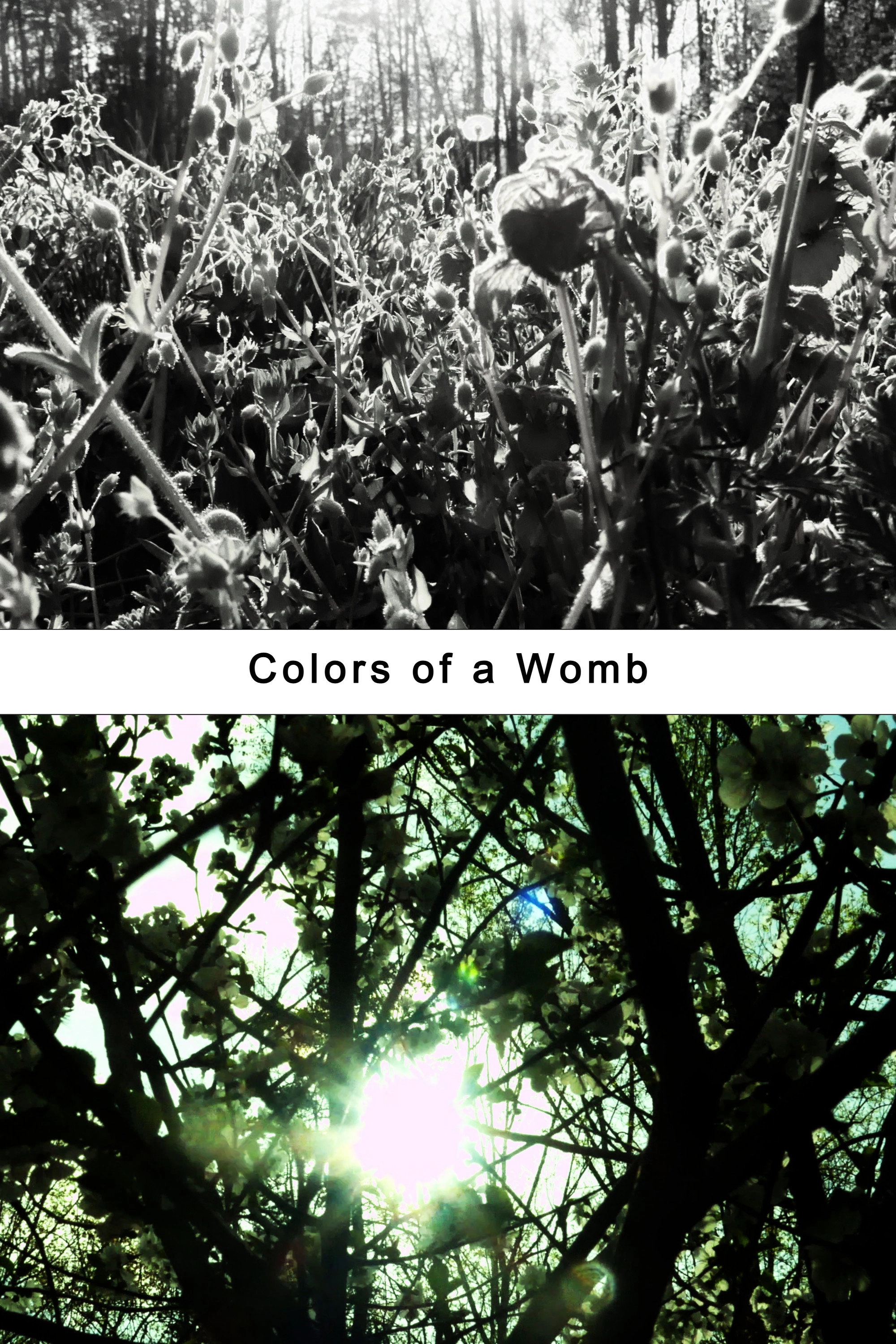 Colors of a Womb (an archetypal flight)