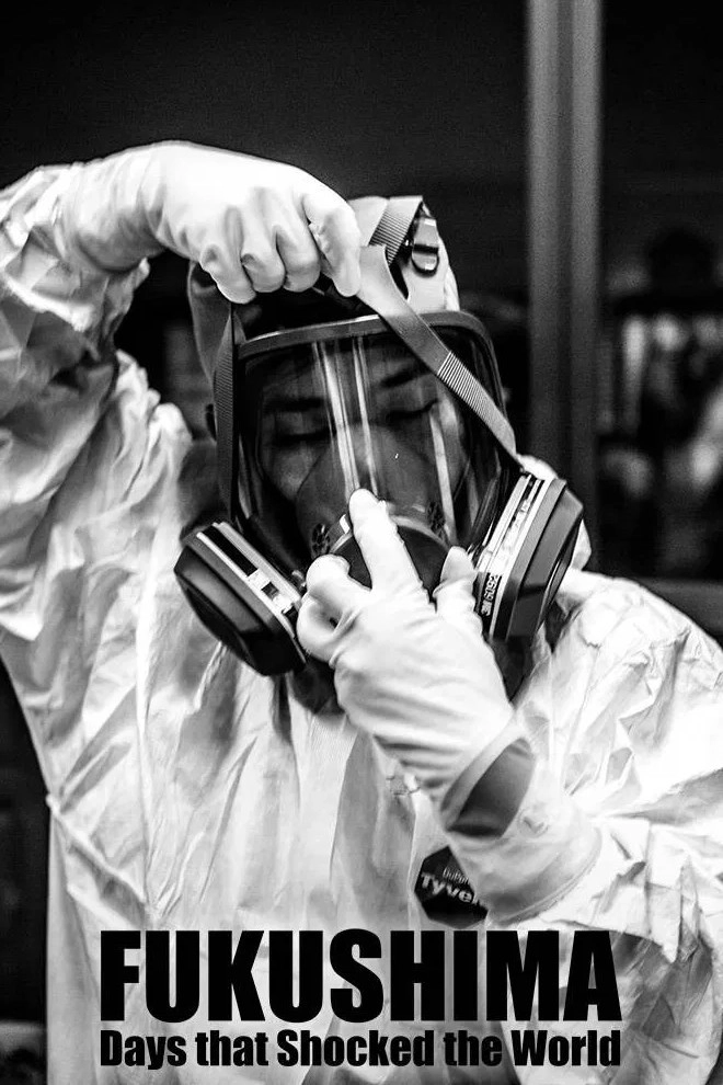 Fukushima: Days That Shocked the World