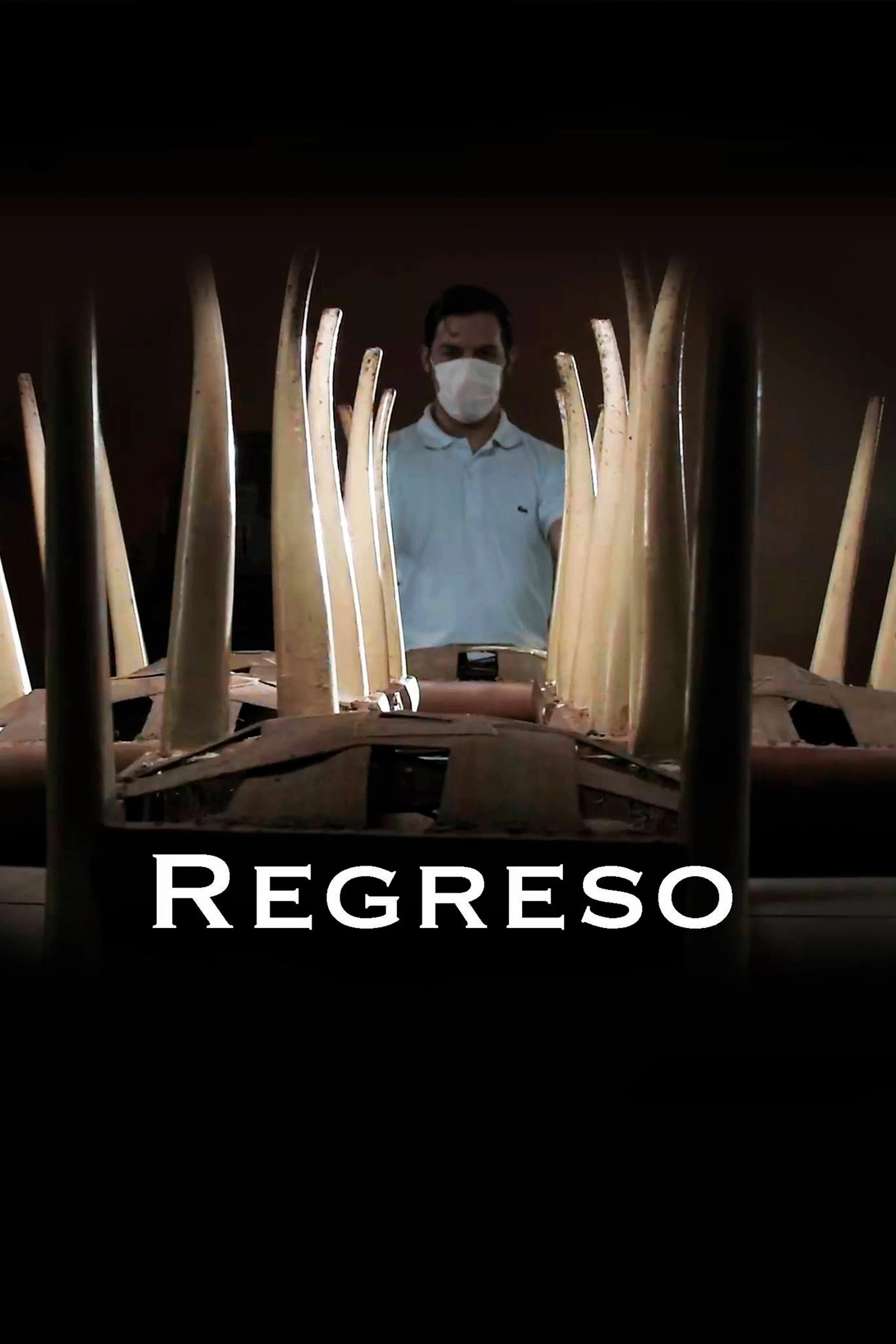 Regreso