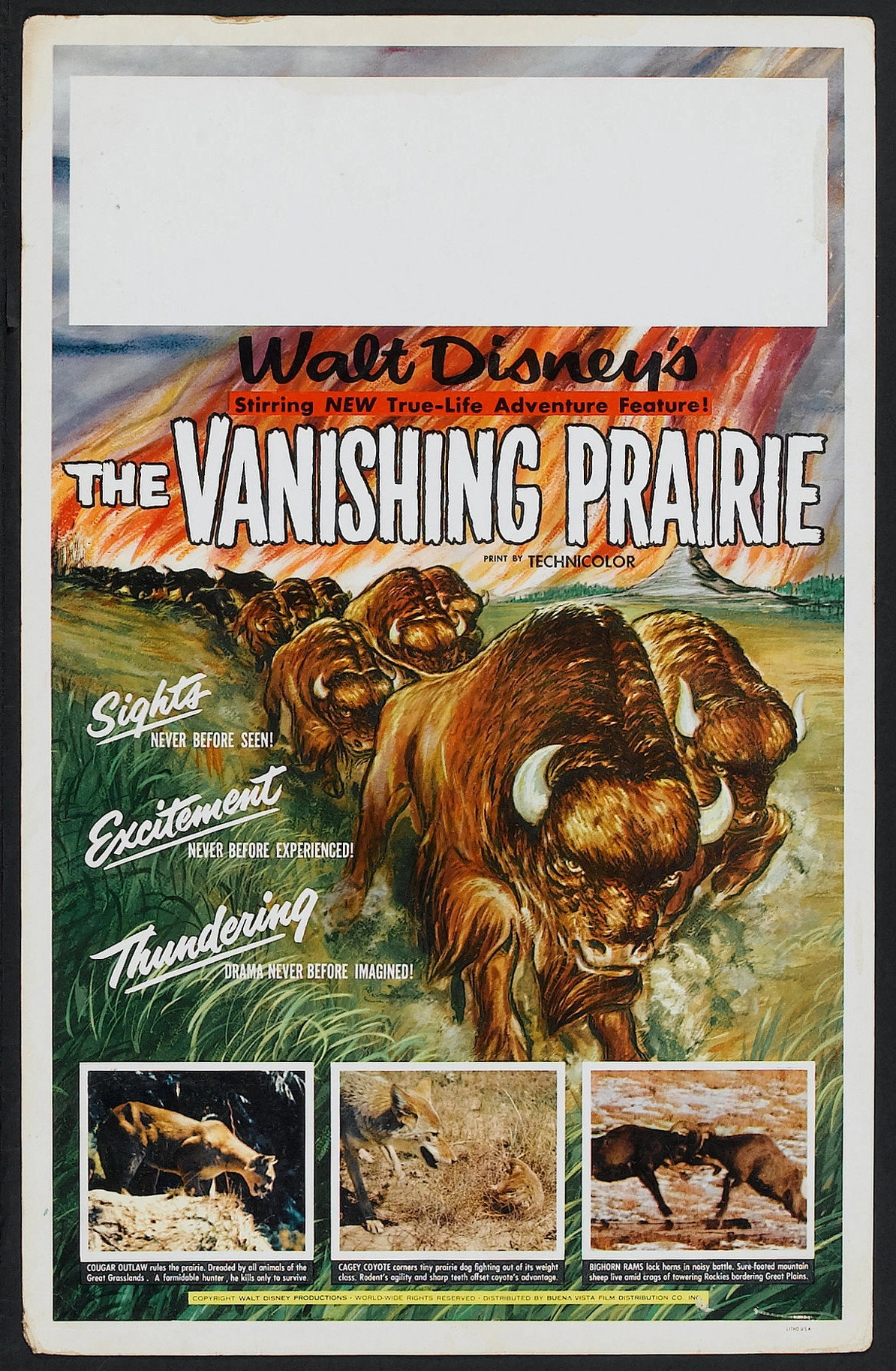 The Vanishing Prairie