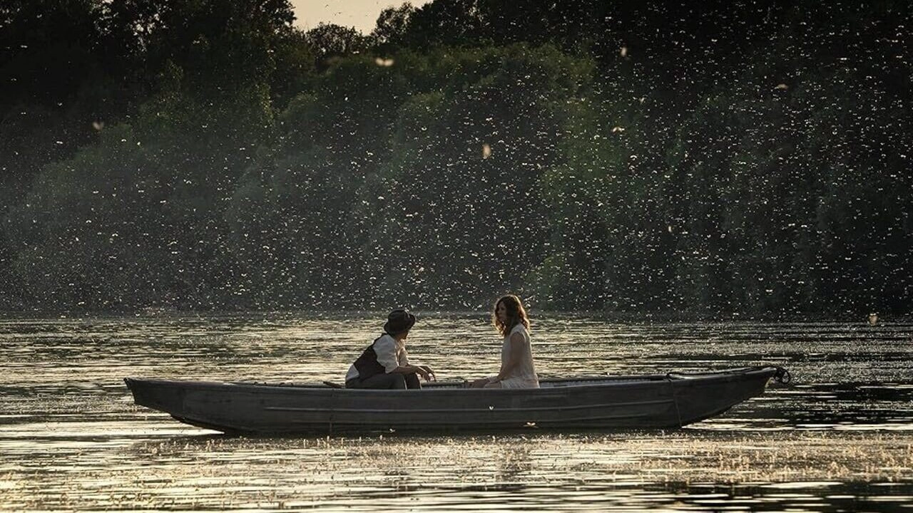 Mayflies