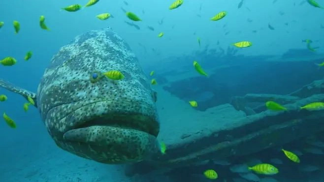Colombia's Wild Coast