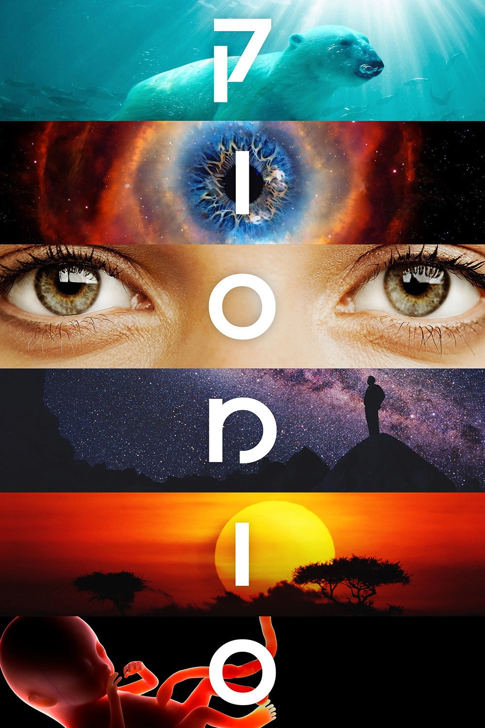 Cosmos