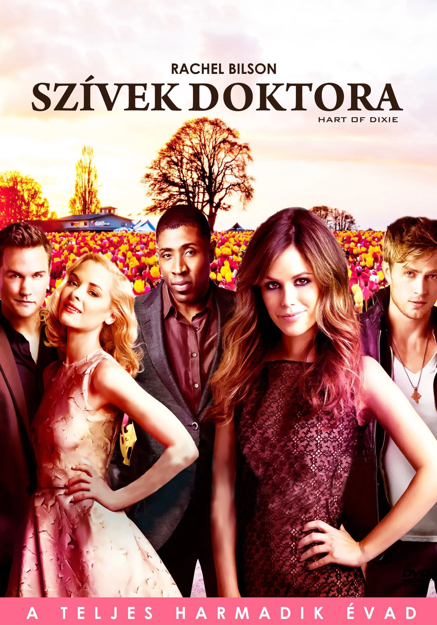 Hart of Dixie