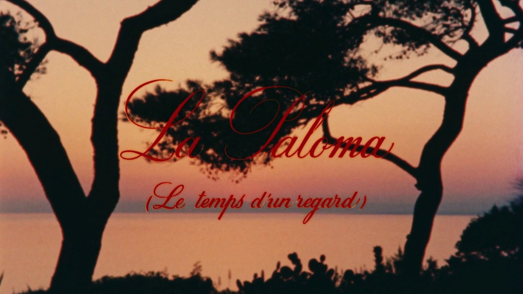 La Paloma