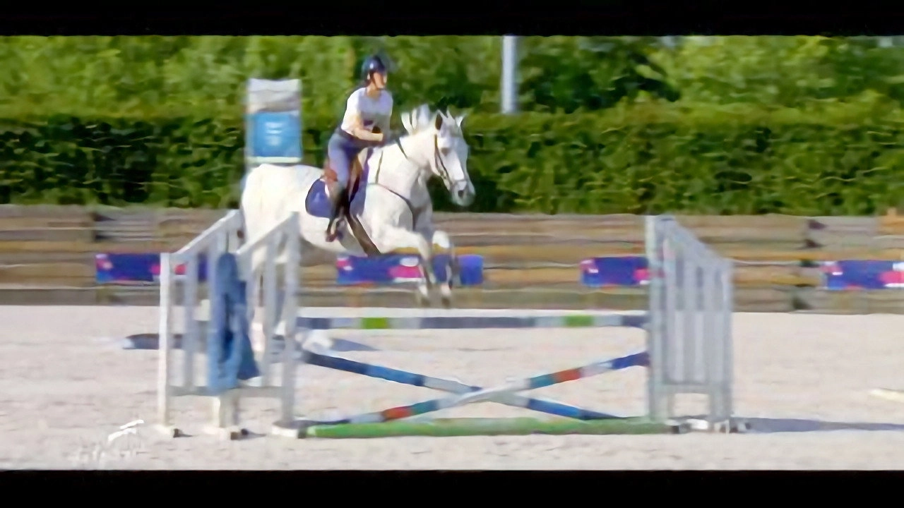Au galop ! une saison à cheval