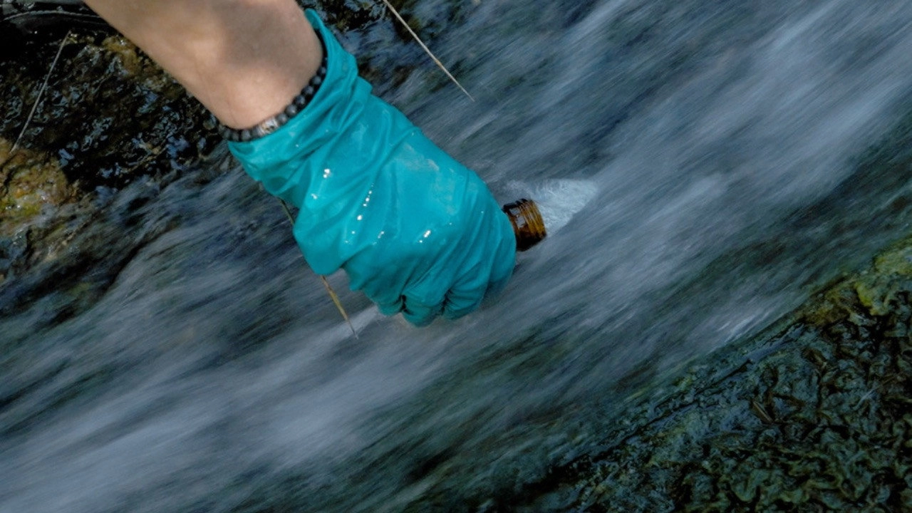 PFAS: An Everyday Poison