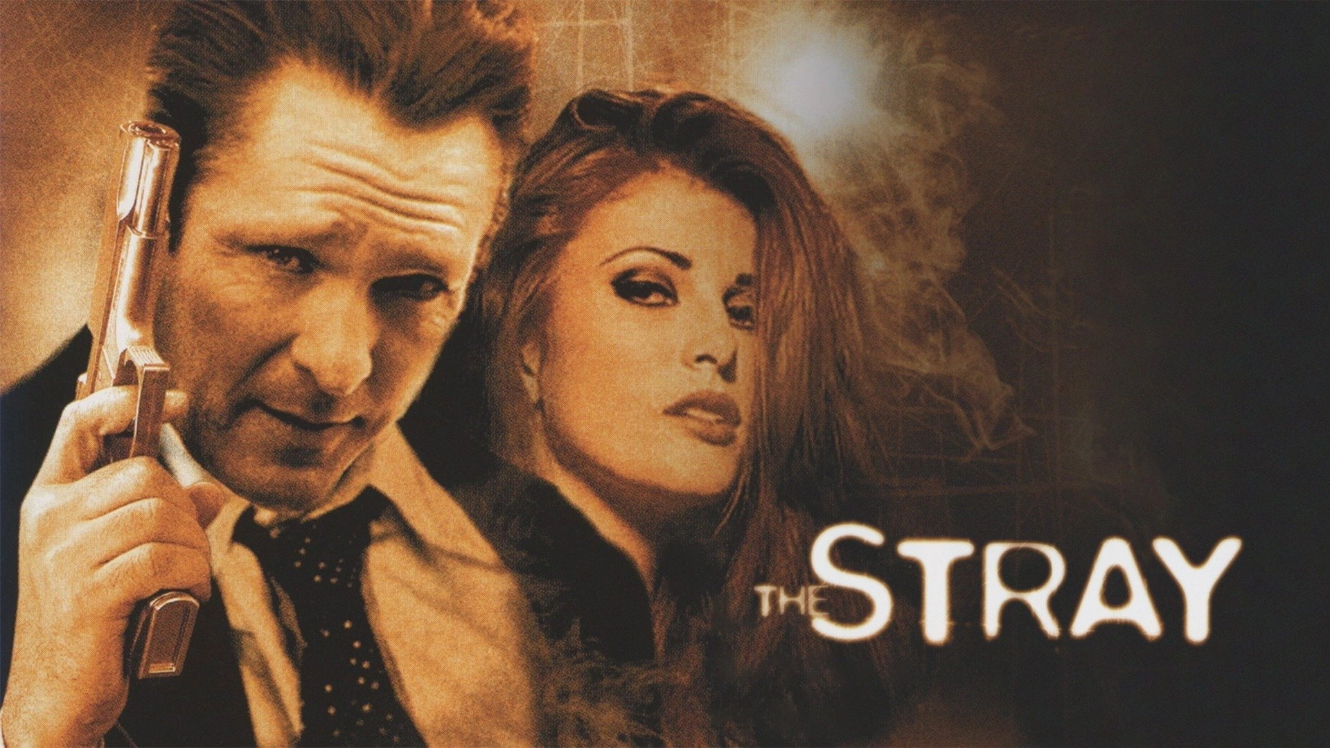 The Stray
