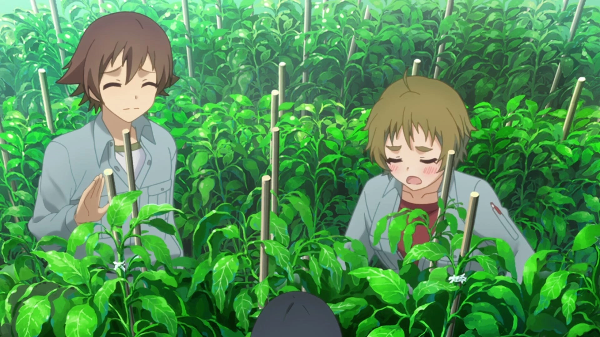 No-Rin
