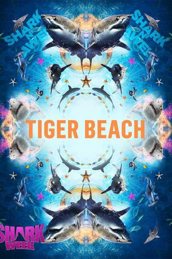 Tiger Shark Beach