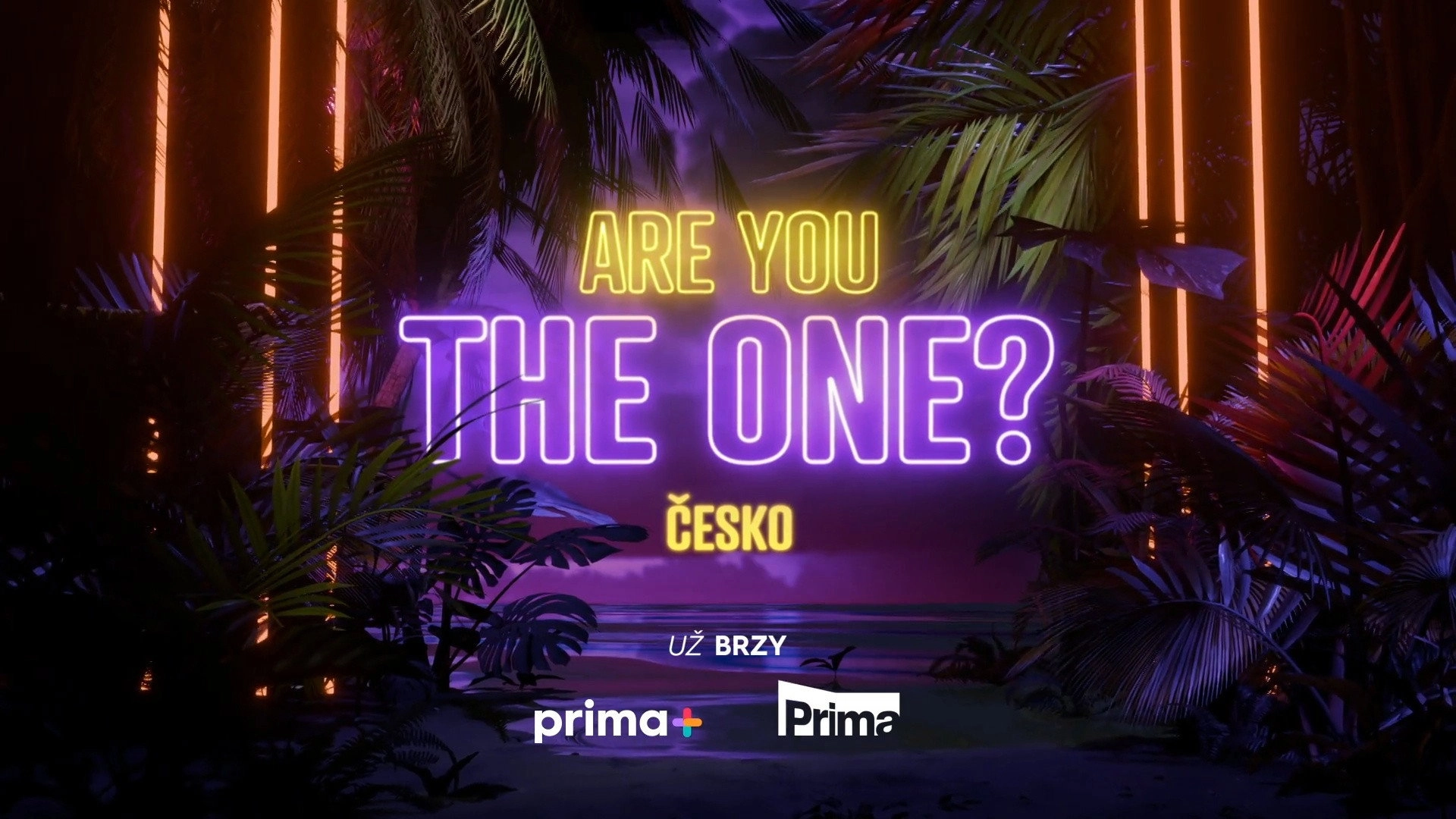 Are you the one? Česko