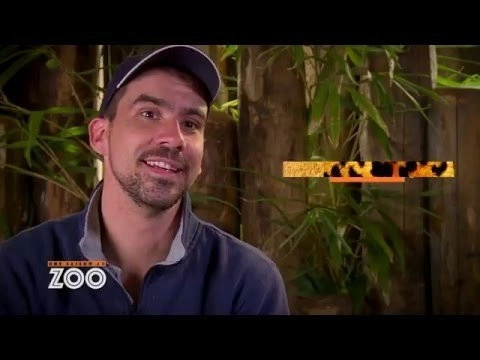 Une saison au zoo
