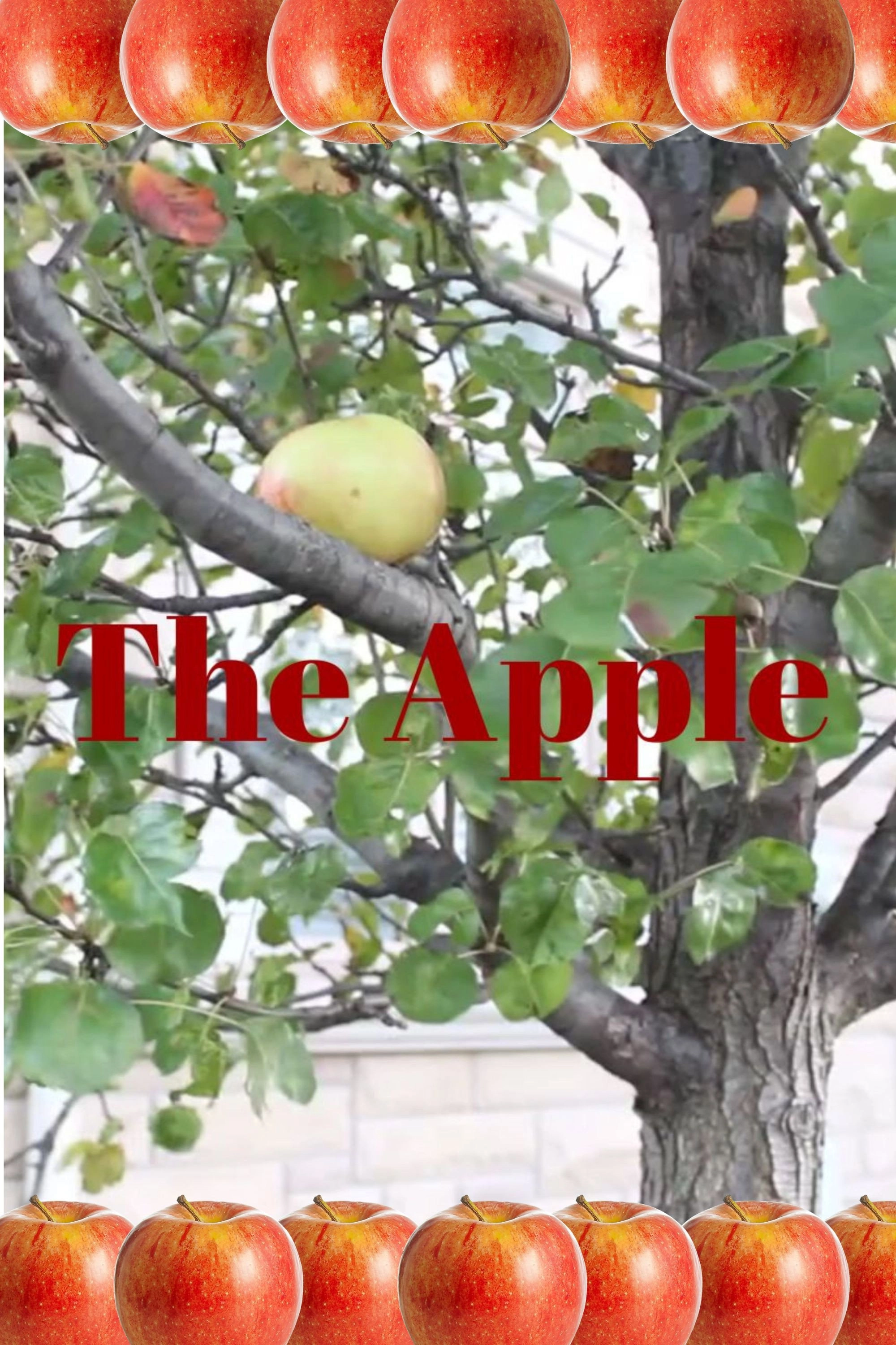 The Apple