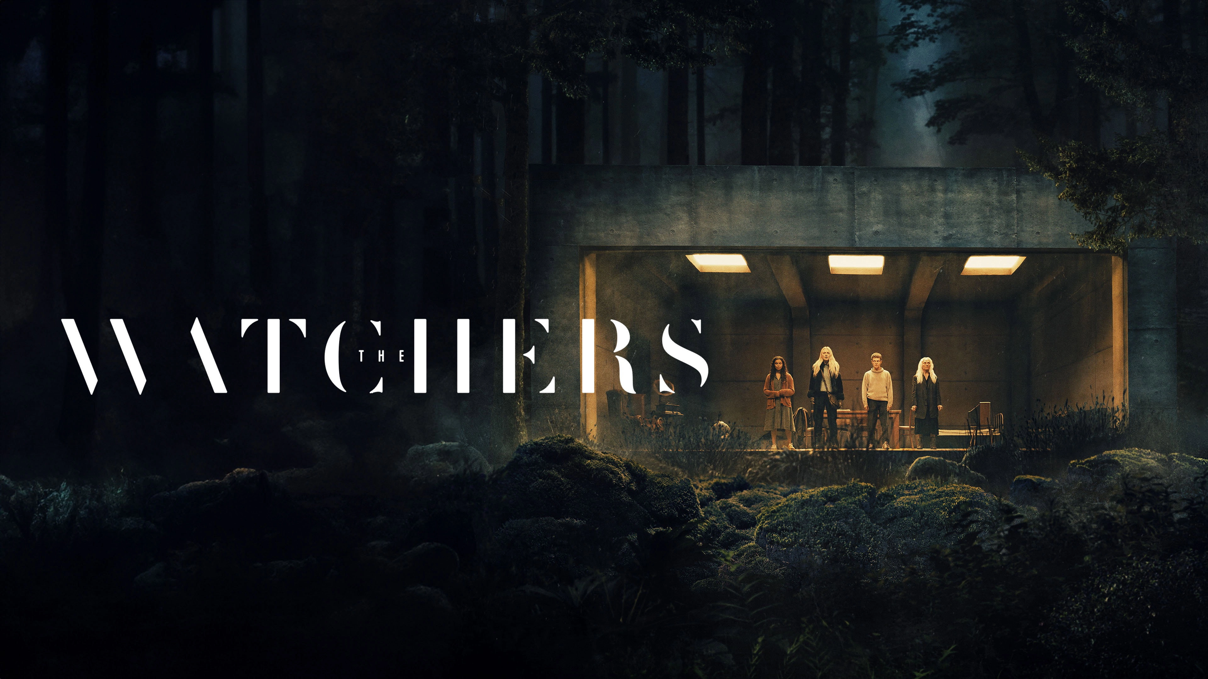 The Watchers