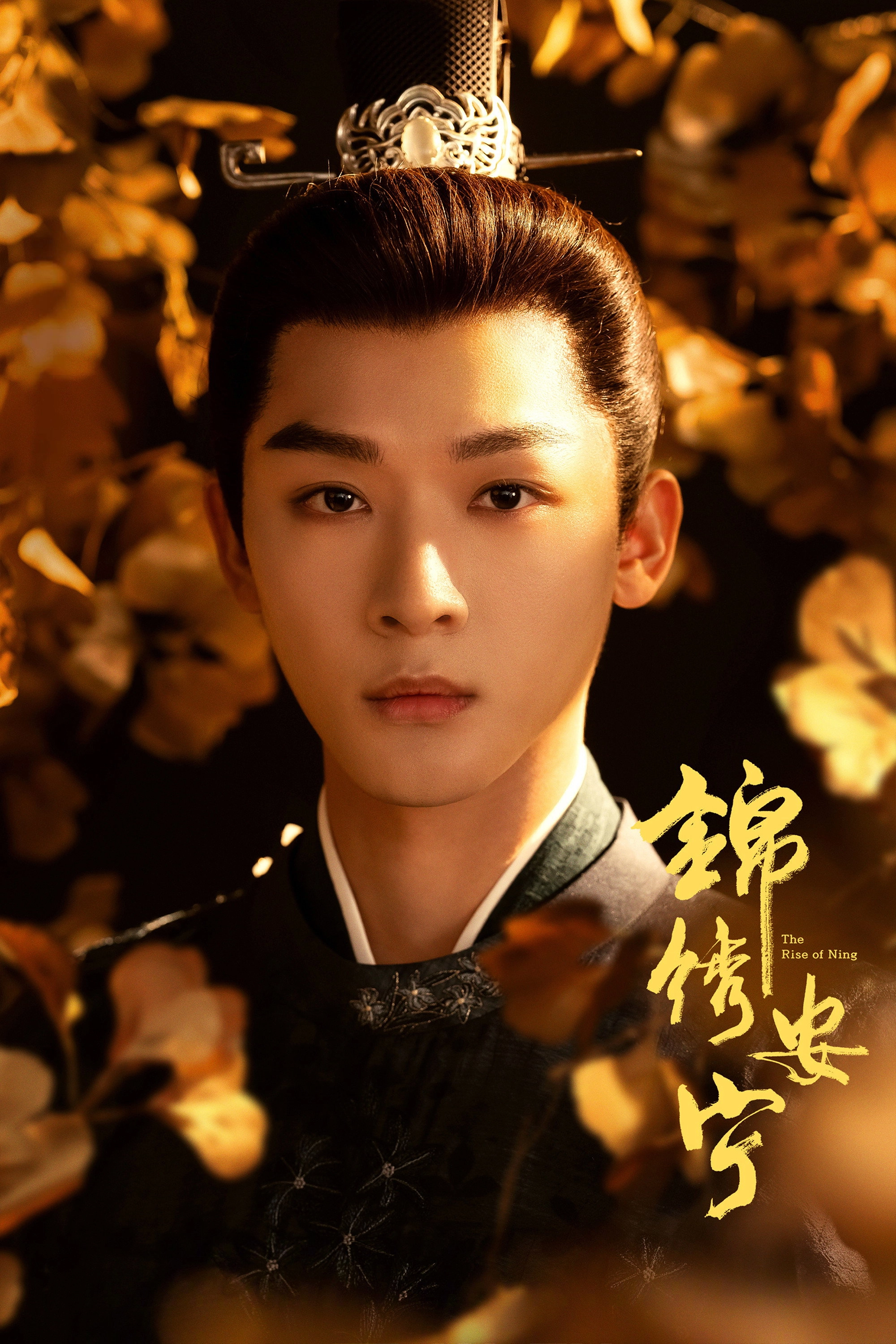 The Rise of Ning