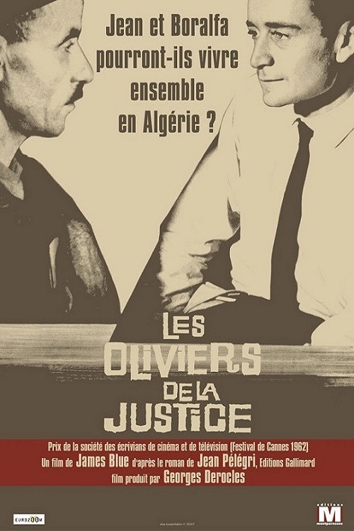 The Olive Trees of Justice
