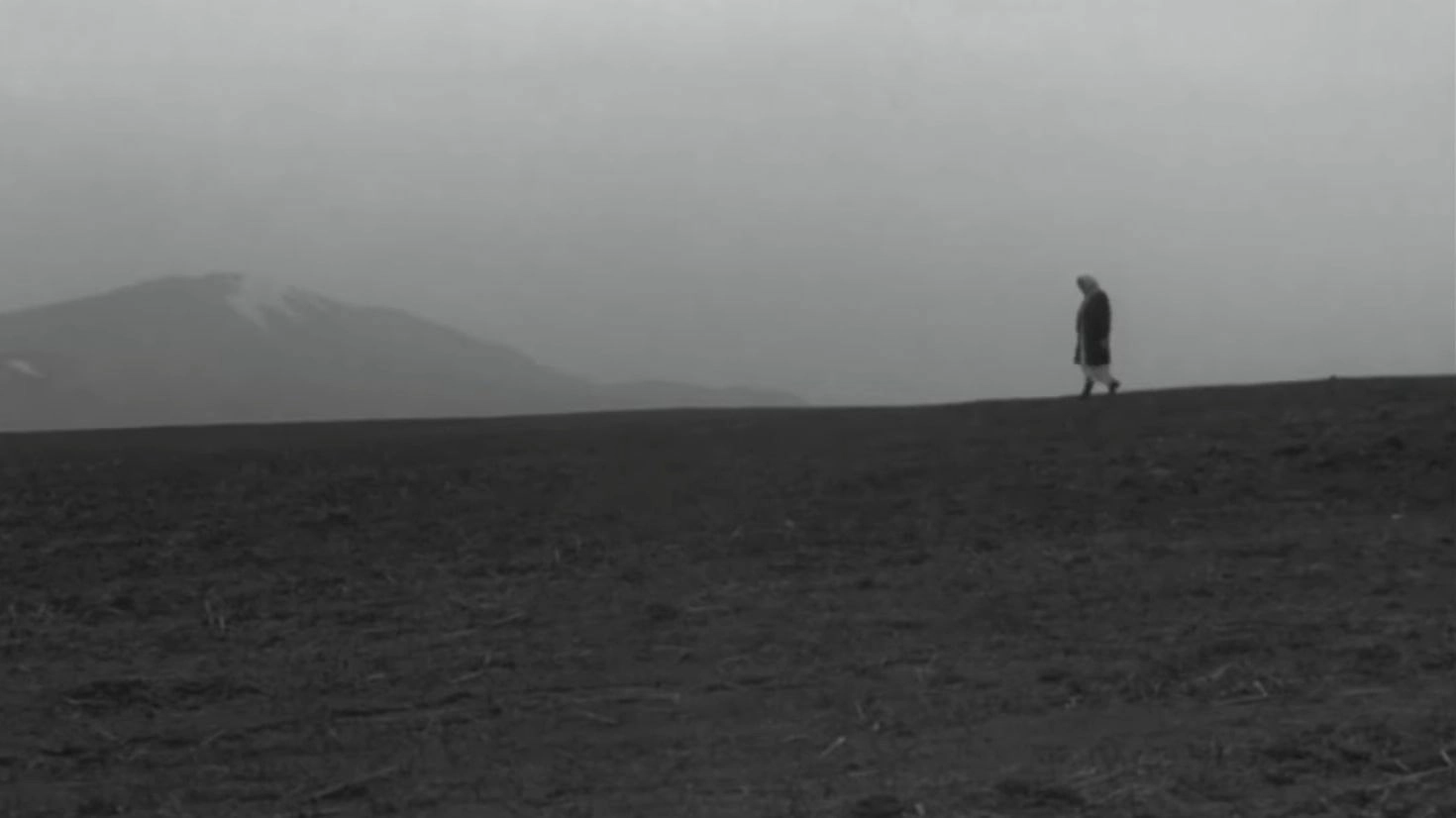 Mother's Field