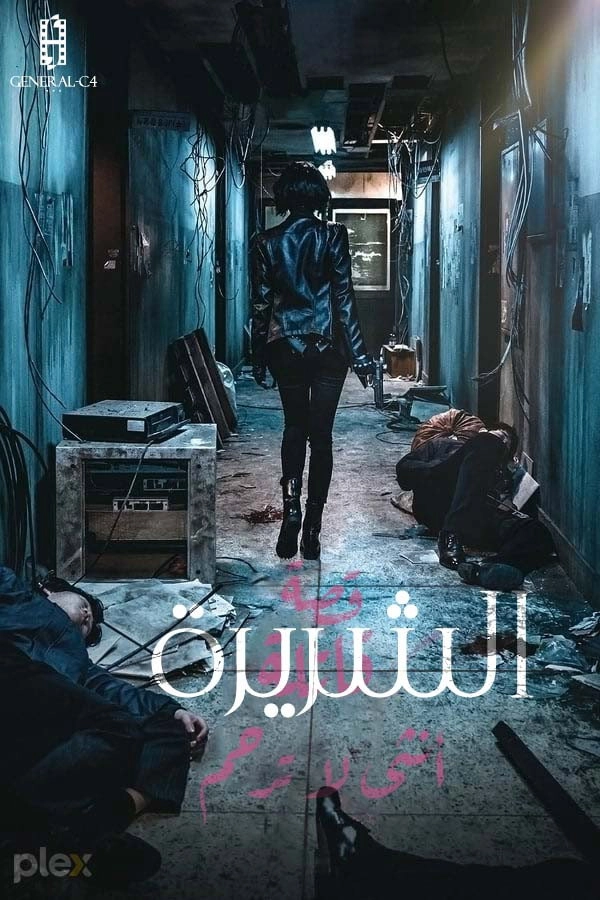 The Villainess