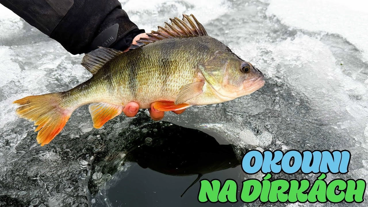 Rybománie