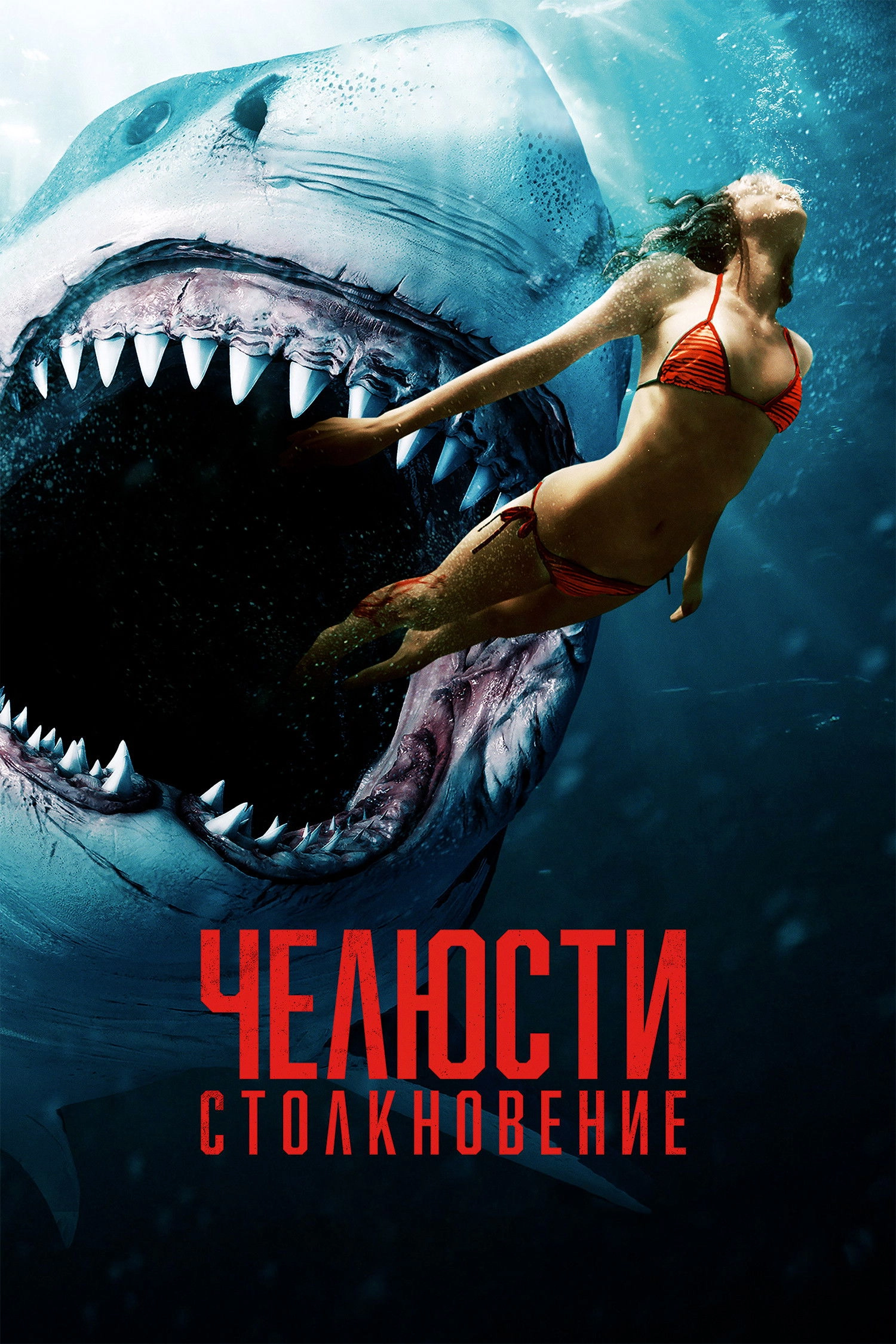 Shark Bait